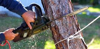 Best Lawn Watering Services  in Midway City, CA