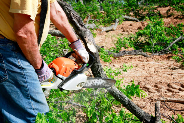 Mulching Services in Midway City, CA